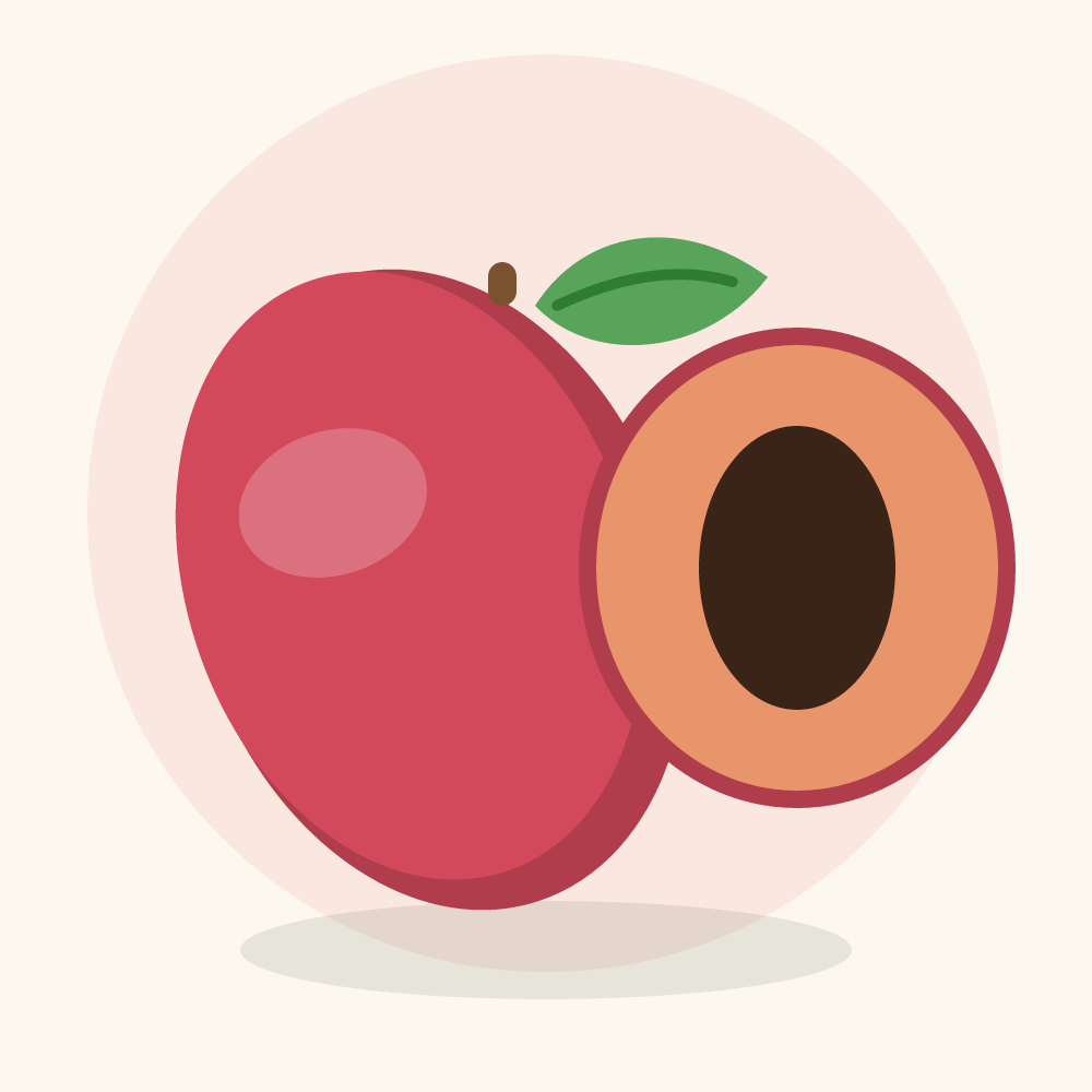 Mamey sapote illustration