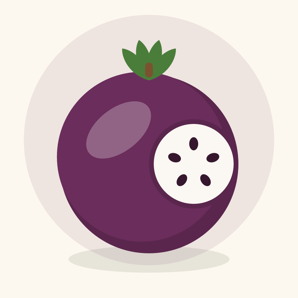 Mangosteen illustration