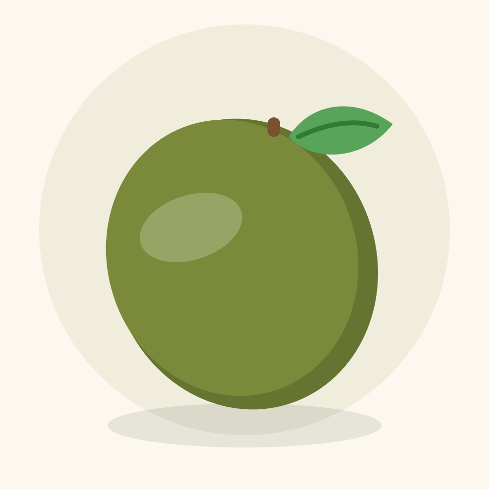 Mangrove apple illustration