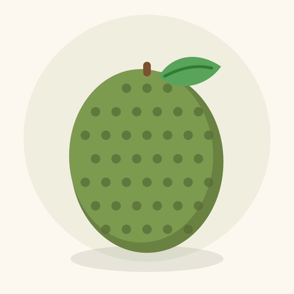 Marang illustration