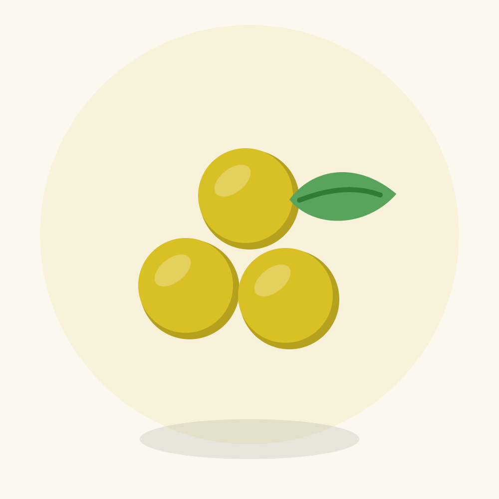 Mayapple illustration