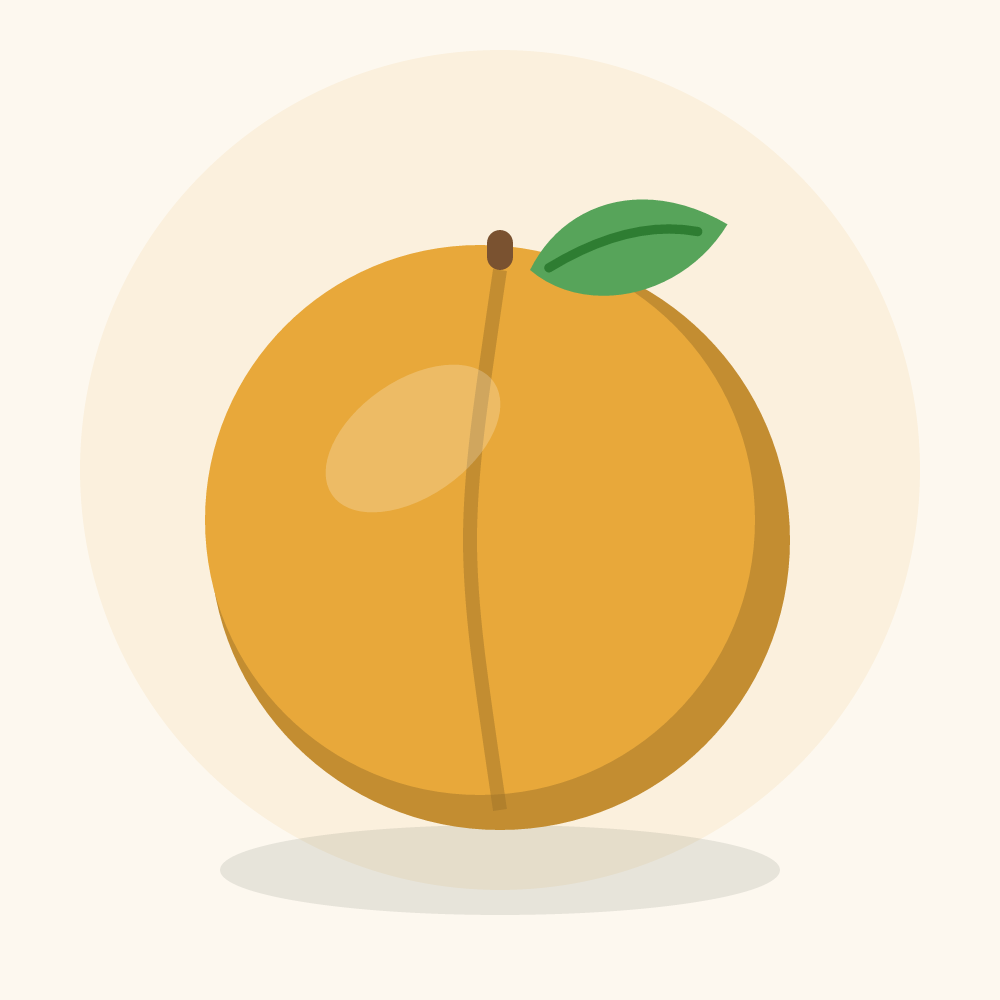 Mirabelle illustration