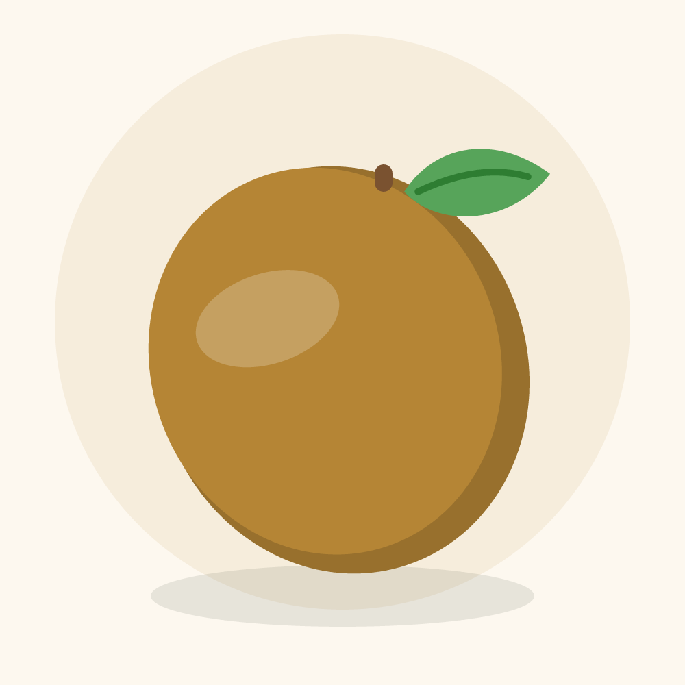 Mobola plum illustration