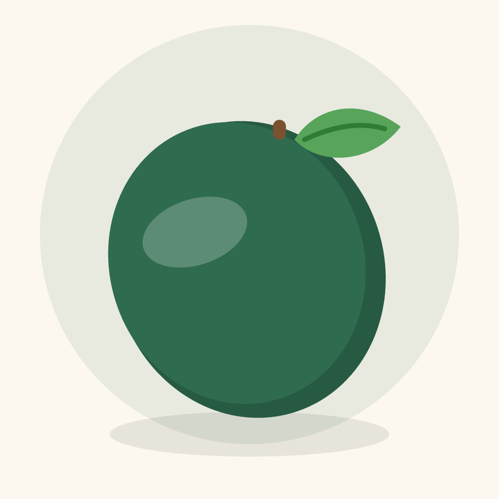 Monstera fruit illustration