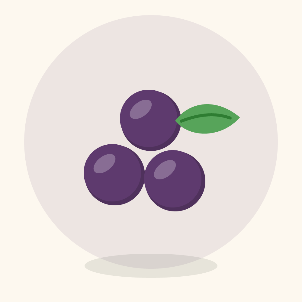 Muscadine illustration