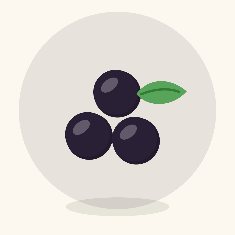 Nannyberry illustration