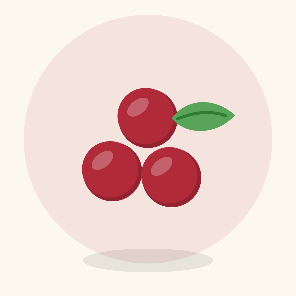 Native cherry illustration