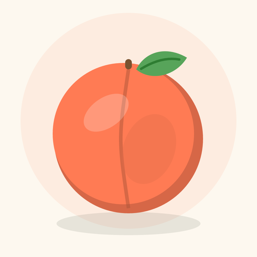 Nectarine illustration