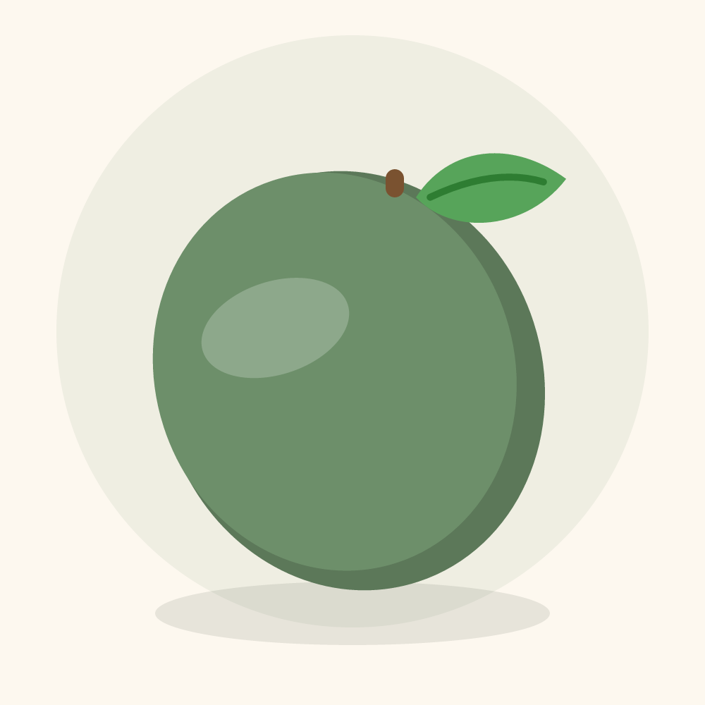 Nipa palm fruit illustration