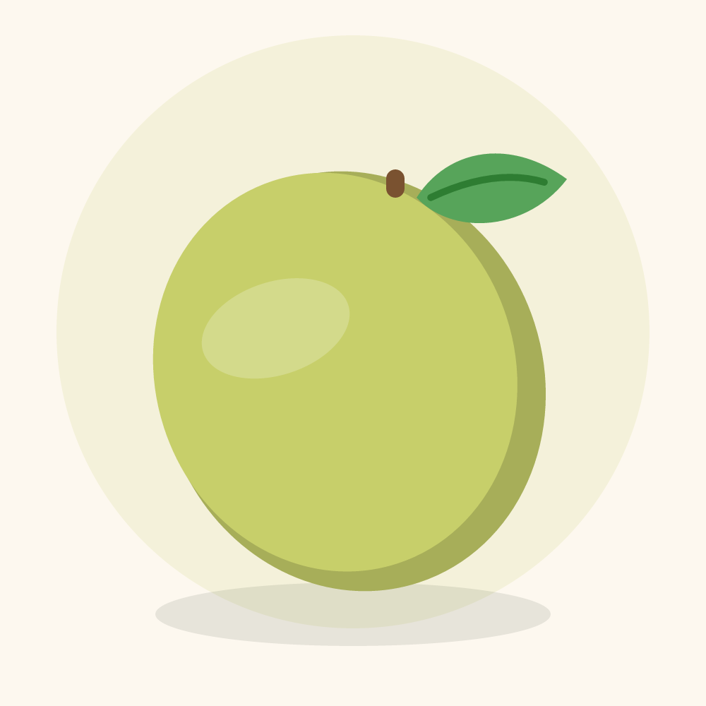 Noni illustration