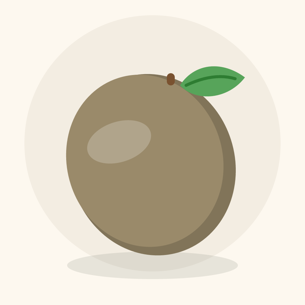 Oleaster illustration