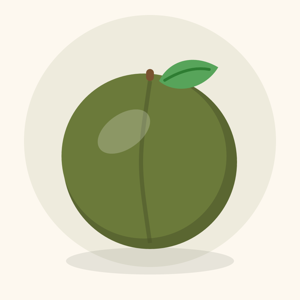 Olive illustration