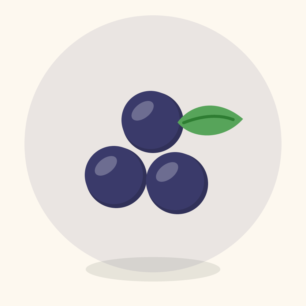 Oregon grape illustration