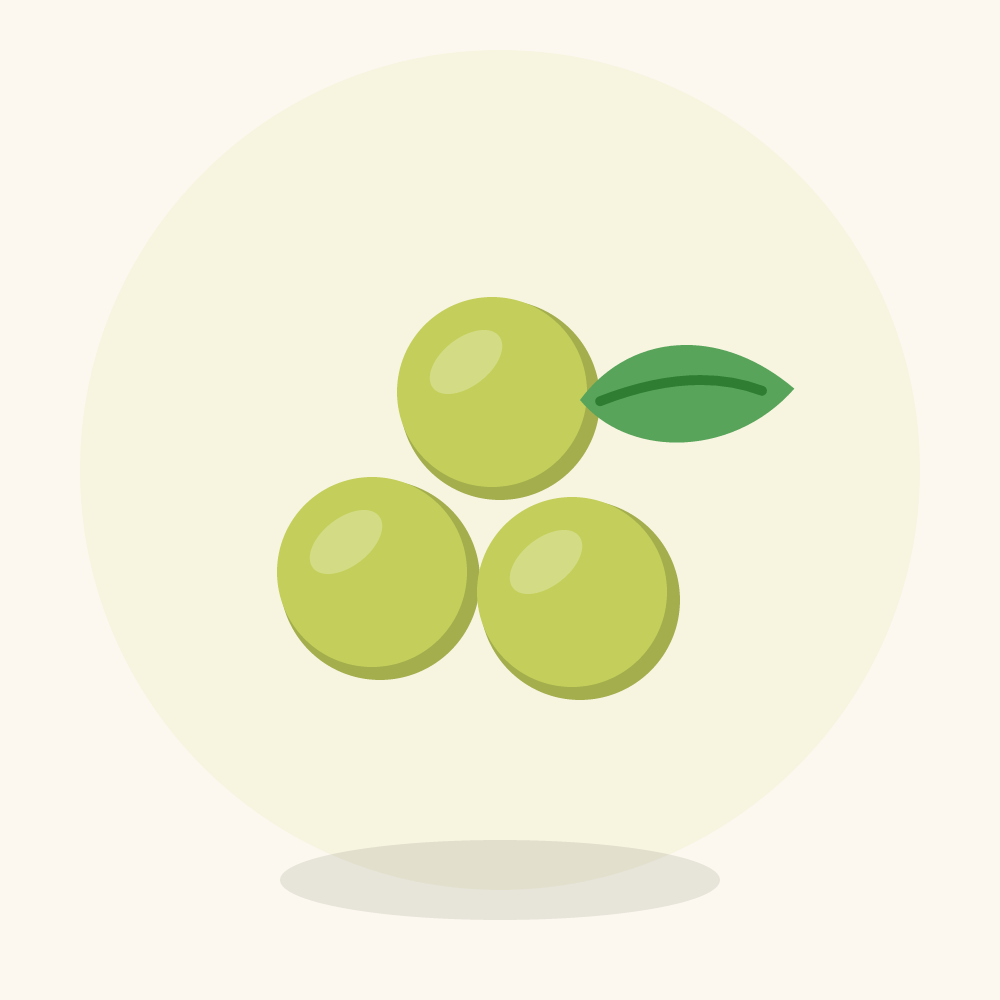 Otaheite gooseberry illustration