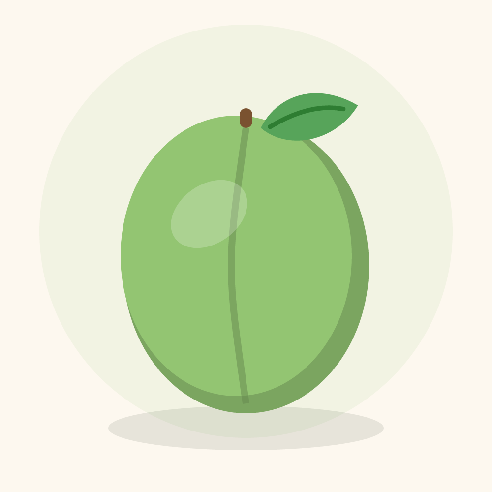 Pistachio illustration