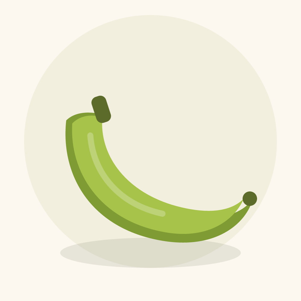 Plantain illustration