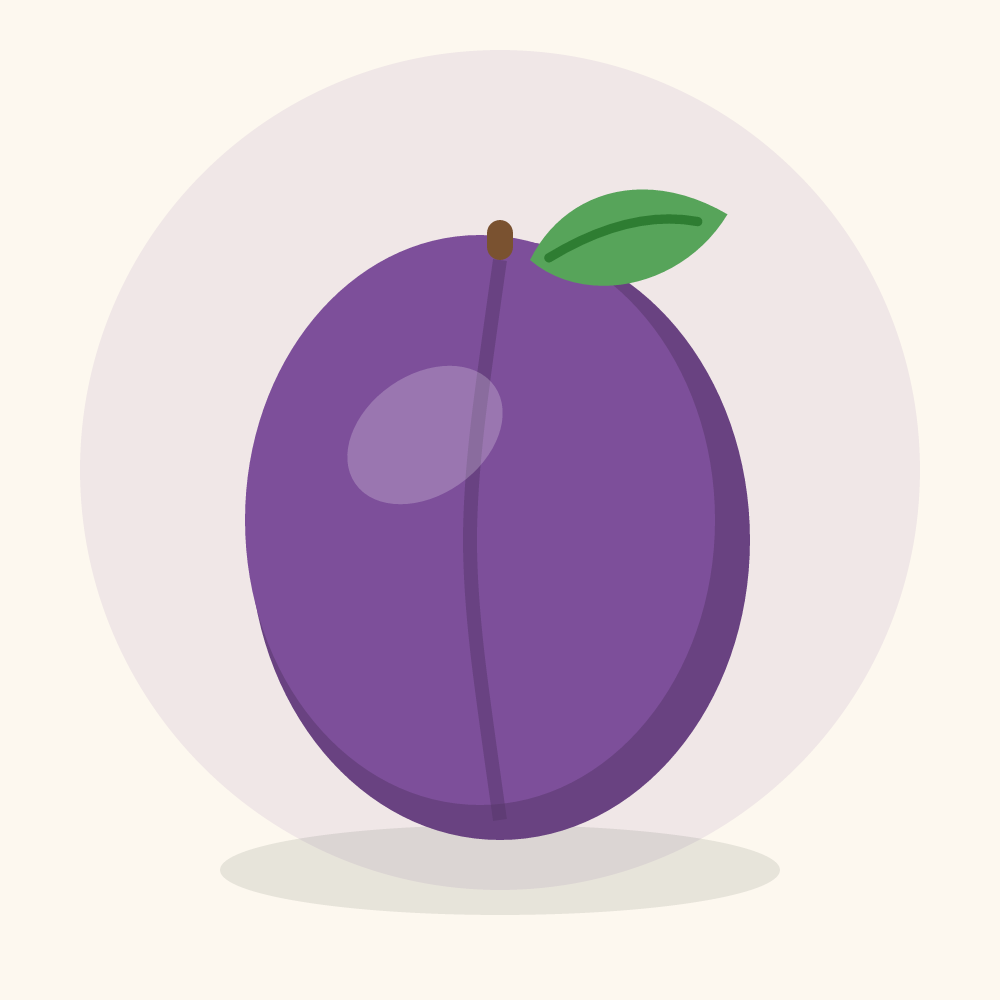 Plum illustration