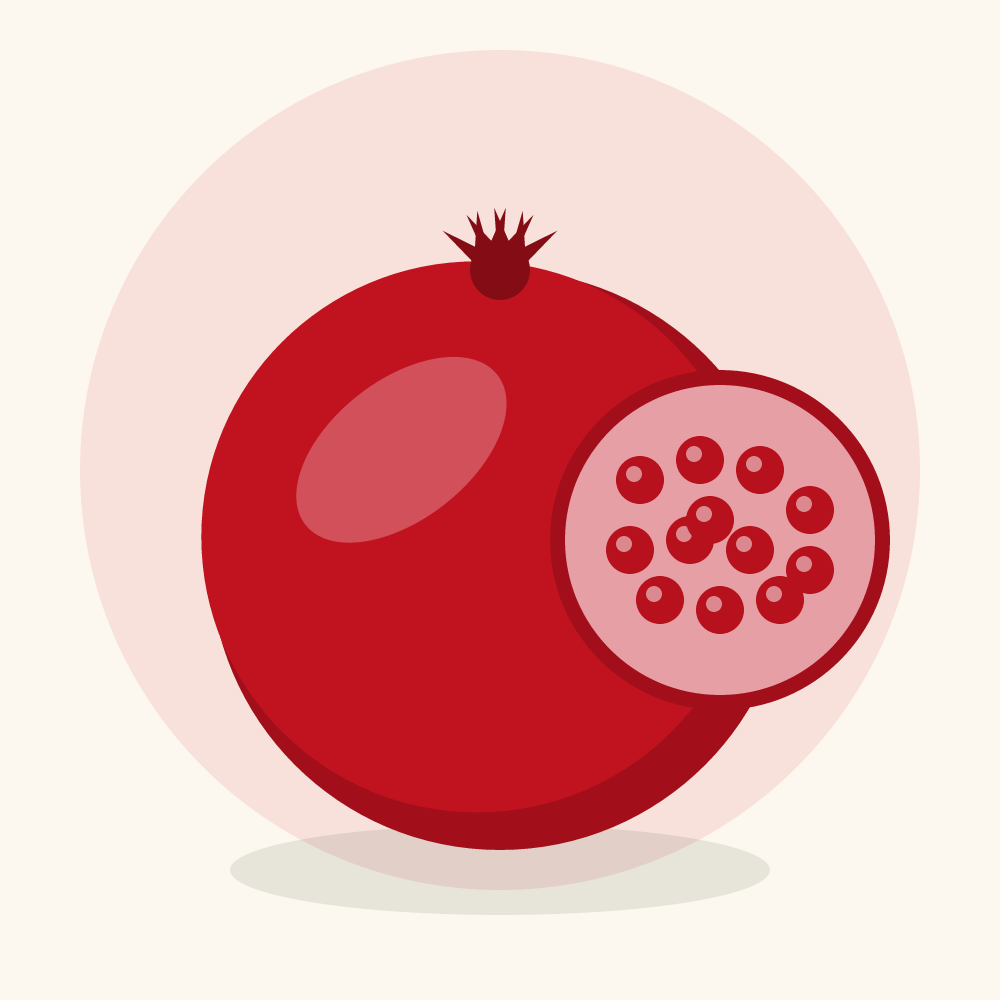 Pomegranate illustration