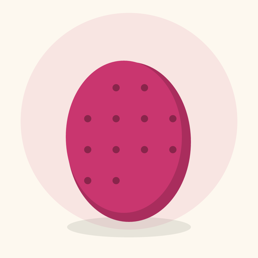 Prickly pear illustration