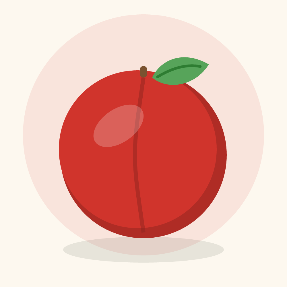 Quandong illustration