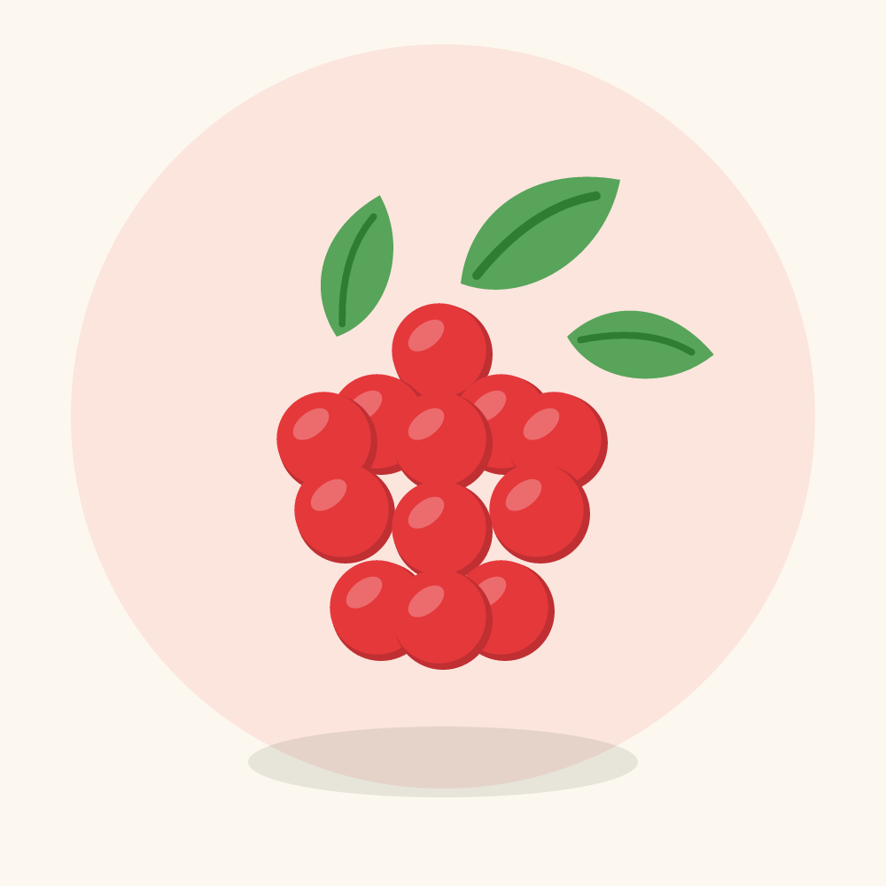 Raspberry illustration