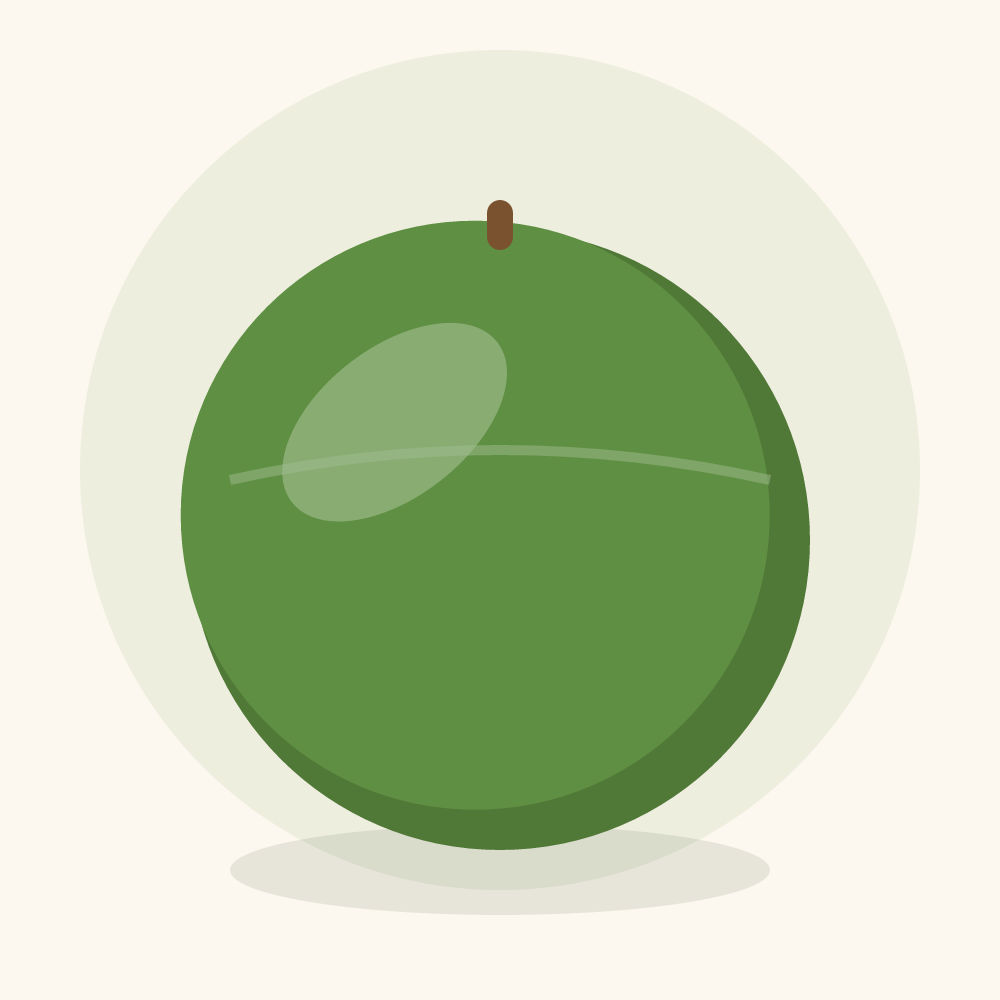 Ridge gourd illustration