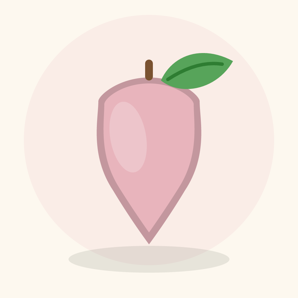 Rose apple illustration
