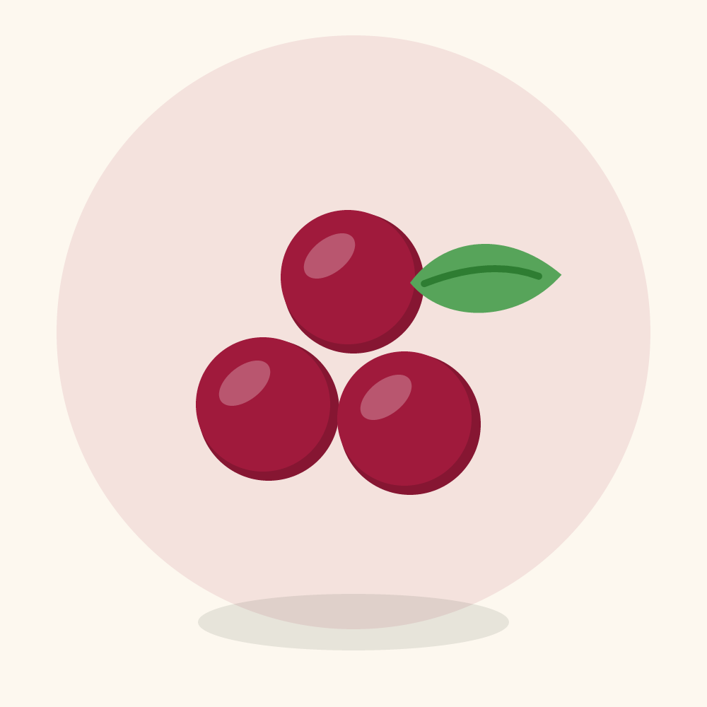 Roselle illustration
