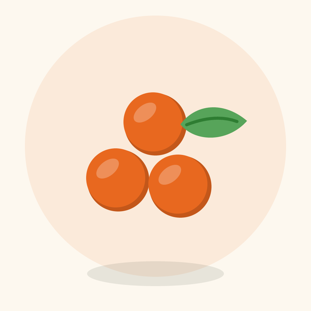 Salmonberry illustration