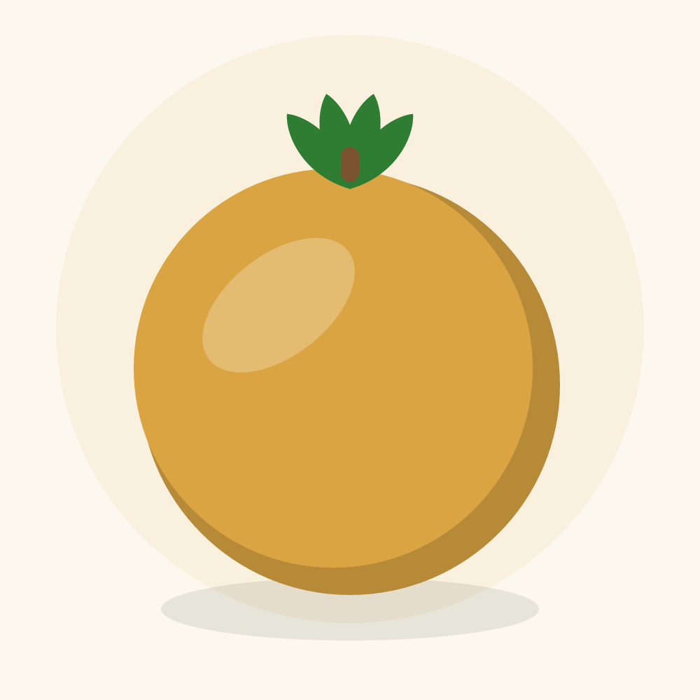 Santol illustration
