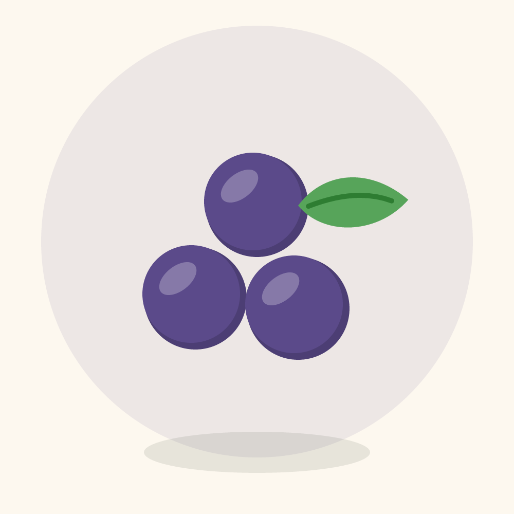 Saskatoon berry illustration