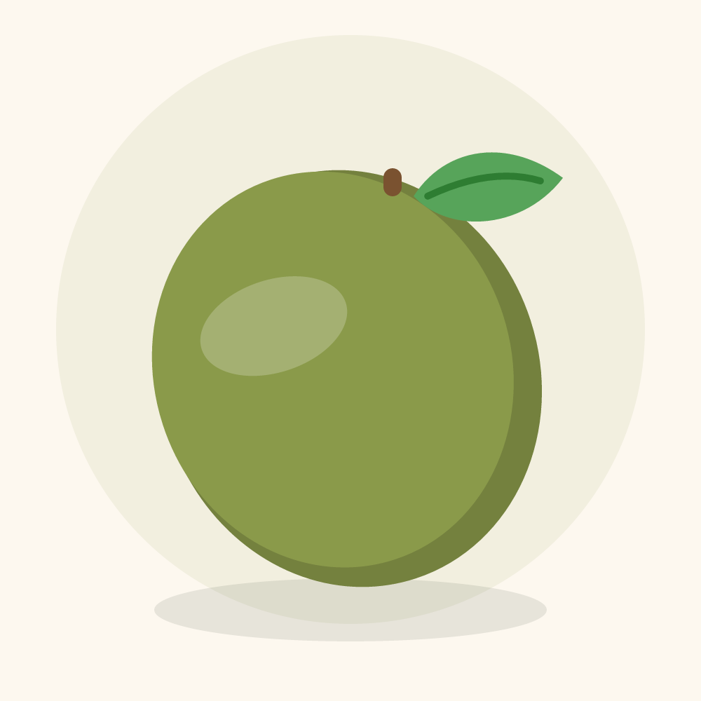 Shea fruit illustration