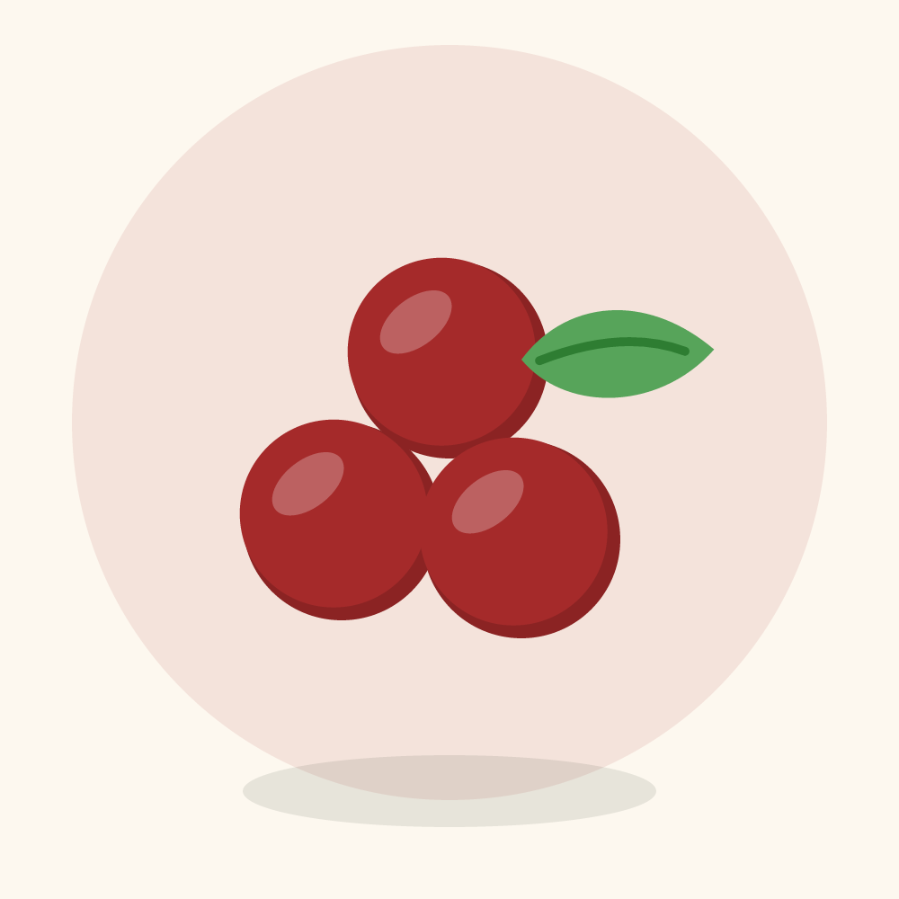 Sineguelas illustration