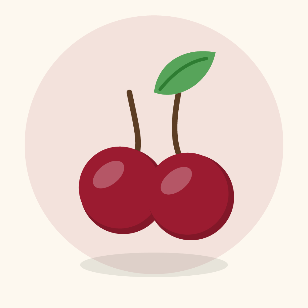 Sour cherry illustration