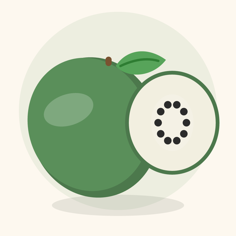 Soursop illustration