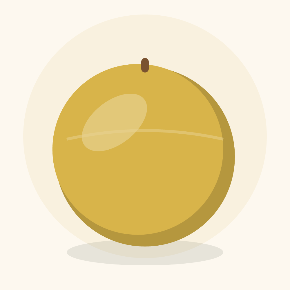 Spaghetti squash illustration