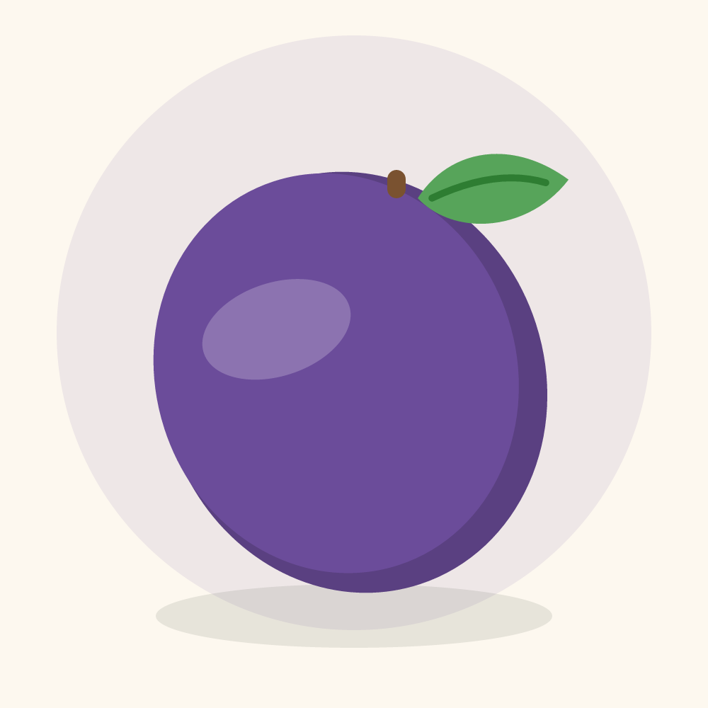 Star apple illustration