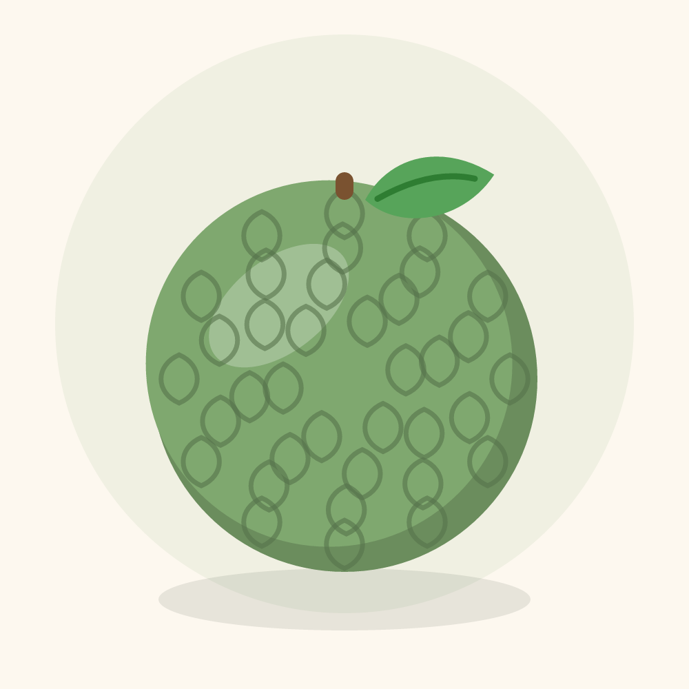 Sugar-apple illustration