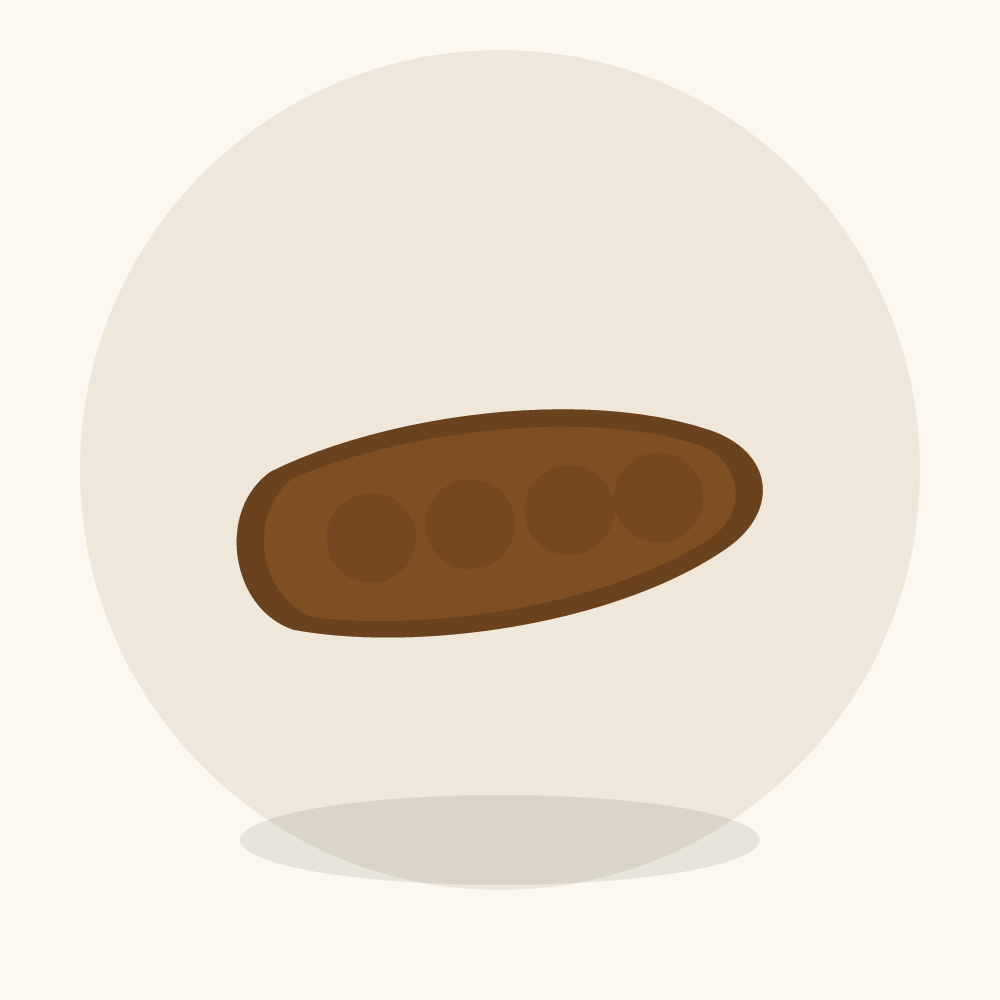 Tamarind illustration