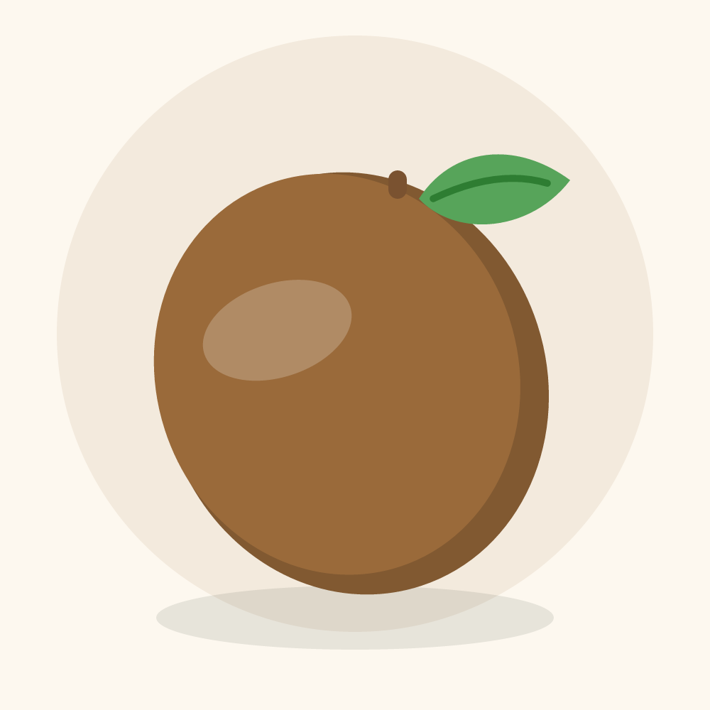 Tampoi illustration