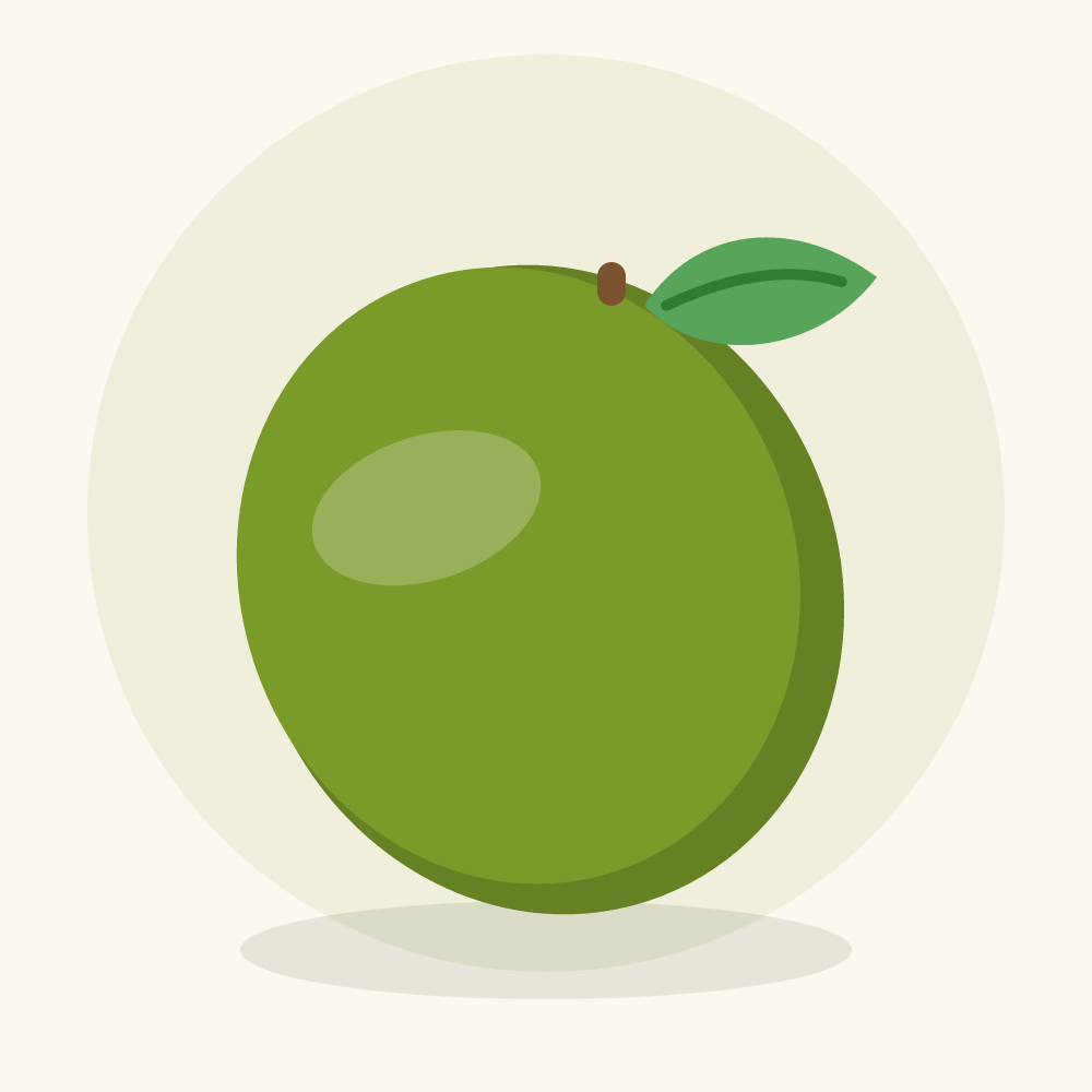 Tomatillo illustration