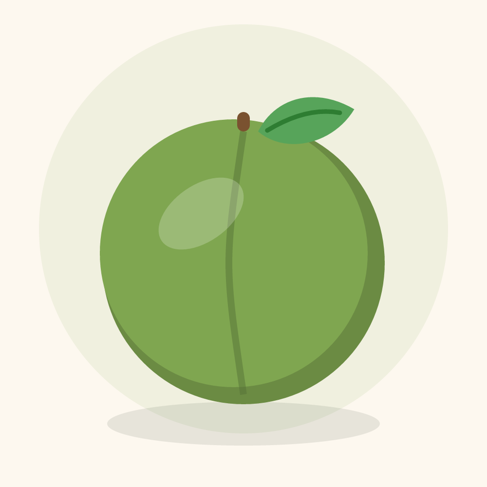 Ume illustration