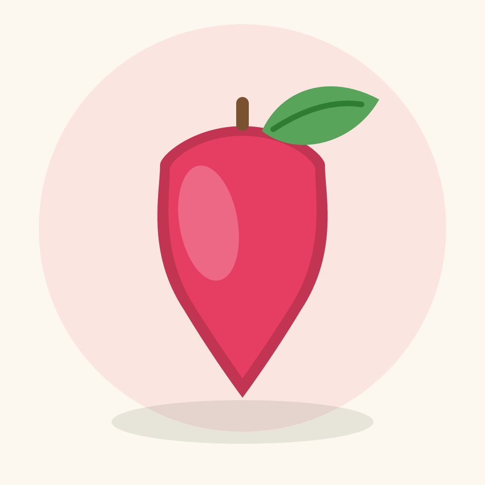 Wax apple illustration