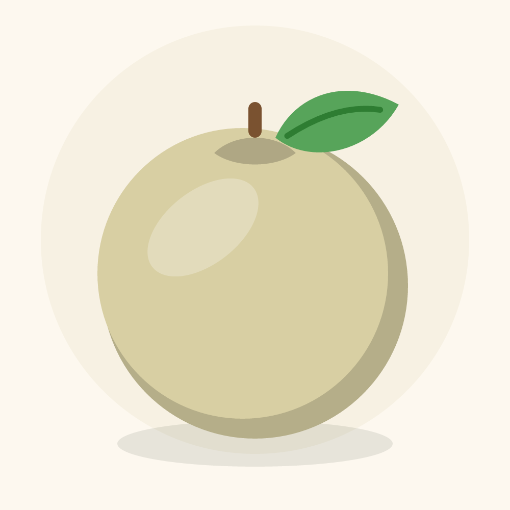 White sapote illustration