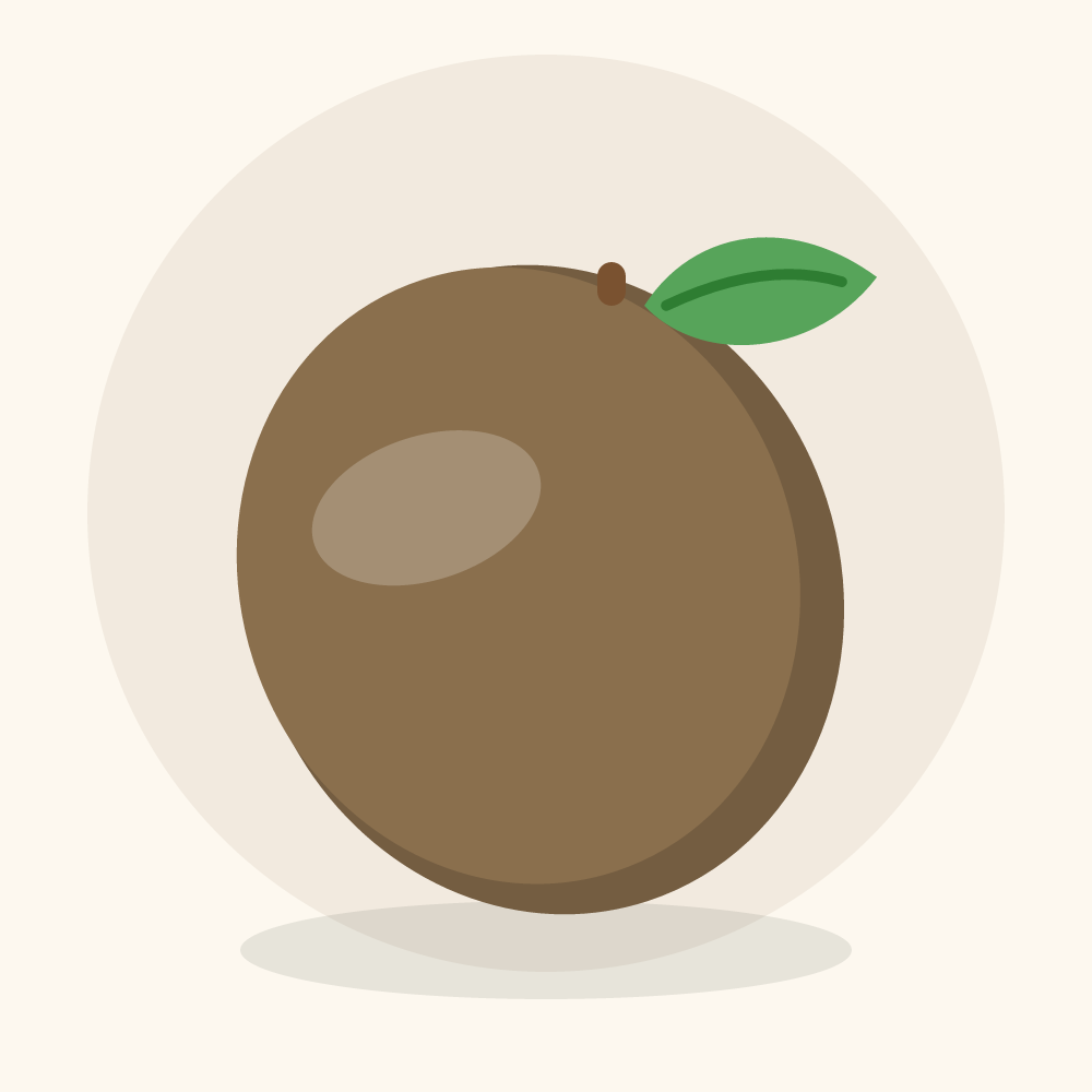 Wood apple illustration