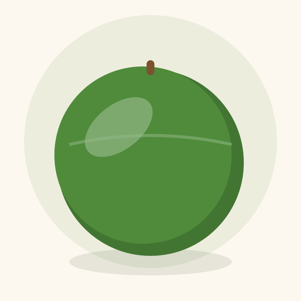 Zucchini illustration